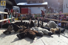 Kinderumzug_2020_202