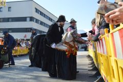 Umzug-2025-Moser-Martina_156