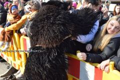 Umzug-2025-Moser-Martina_261