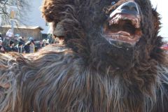 Umzug-2025-Moser-Martina_266