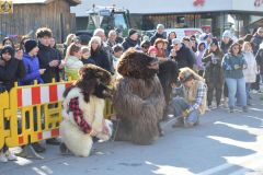 Umzug-2025-Moser-Martina_276