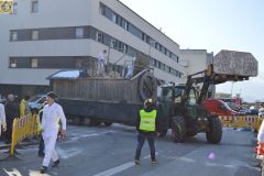 Umzug-2025-Moser-Martina_325