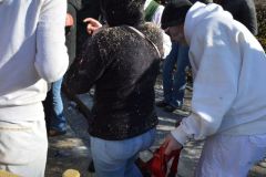 Umzug-2025-Moser-Martina_327