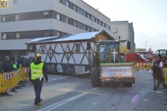 Umzug-2025-Moser-Martina_344