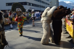 Umzug_MoserMartina_2019_057