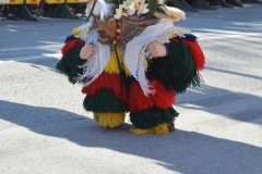 Umzug_MoserMartina_2019_111